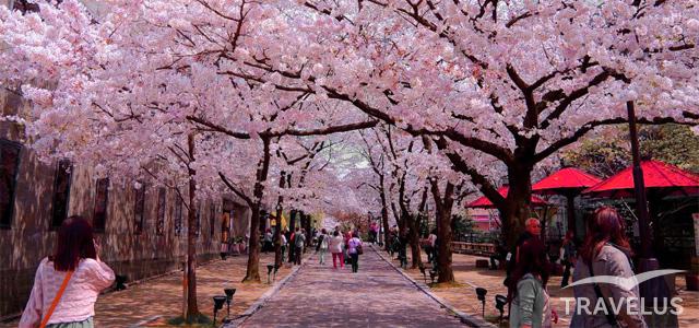 Vé máy bay đi Tokyo