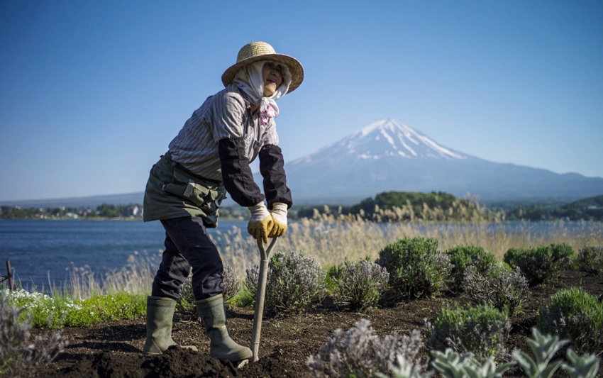 Văn hóa con người ở Nhật bản - biểu tượng người nông dân 